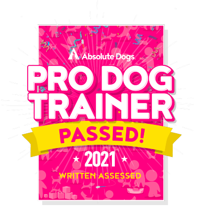 Absolute Dogs Pro Dog Trainer certification